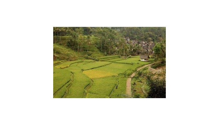 Hotel Santika Tasikmalaya poza 6