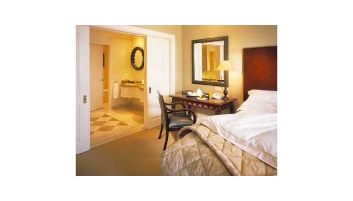 Hotel Intercontinental O.r. Tambo Airport poza 6