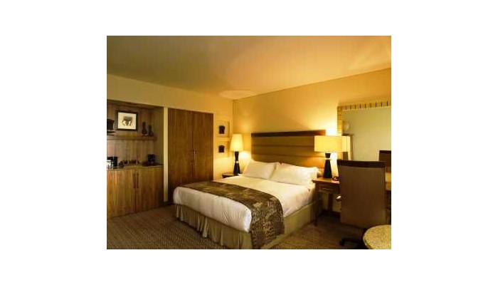 Hotel Sandton Sun poza 4