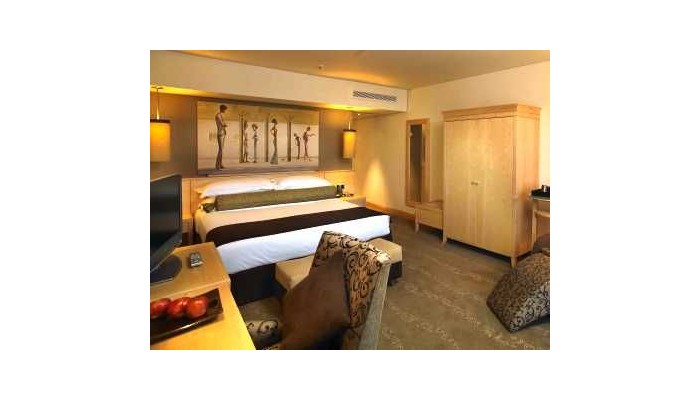 Hotel Sandton Sun poza 6