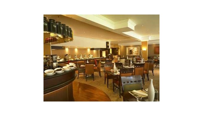 Hotel Southern Sun O.r. Tambo Intl Airport poza 4