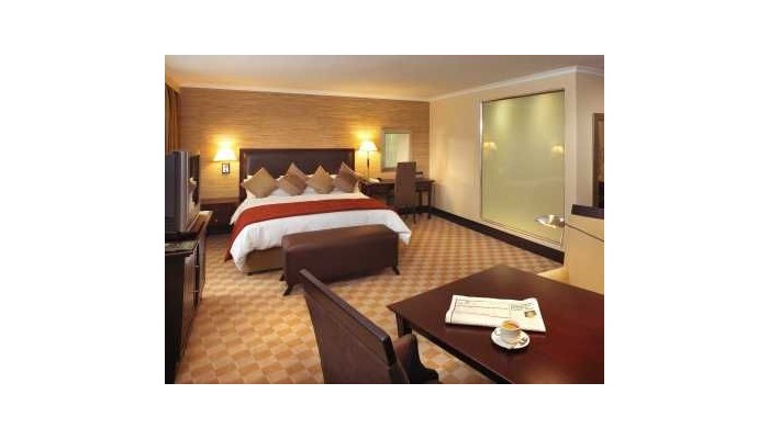 Hotel Southern Sun O.r. Tambo Intl Airport poza 2