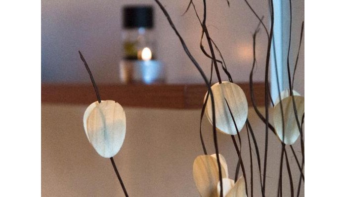 Hotel Leone Luxury Villas poza 3