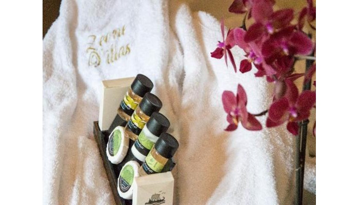 Hotel Leone Luxury Villas poza 1