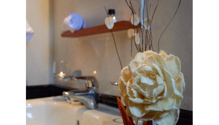 Hotel Leone Luxury Villas poza 9