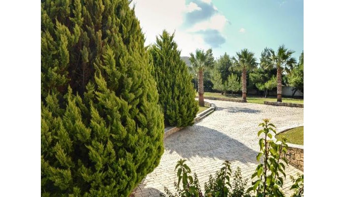 Hotel Leone Luxury Villas poza 7