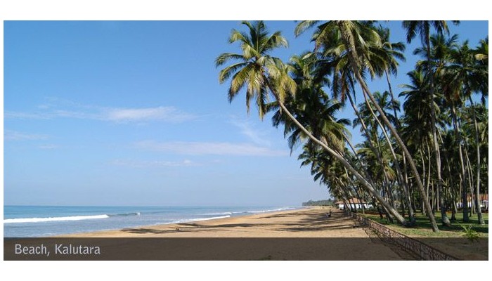 Poza pentru Hotel Royal Palms Beach 140-1486989381 Hotel Royal Palms Beach poza 0