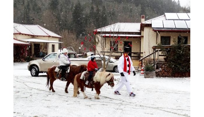 Hotel Ninemia Bungalows poza 3