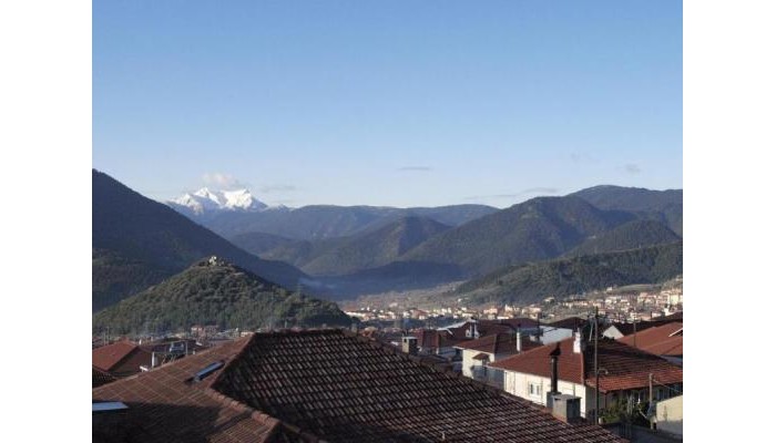 Hotel Xenonas Drimos poza 4