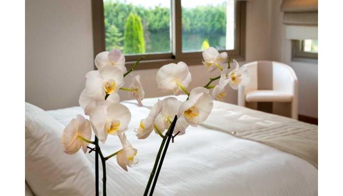 Calma Hotel & Spa poza 6