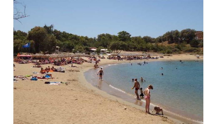 Paradise Apartments poza 8