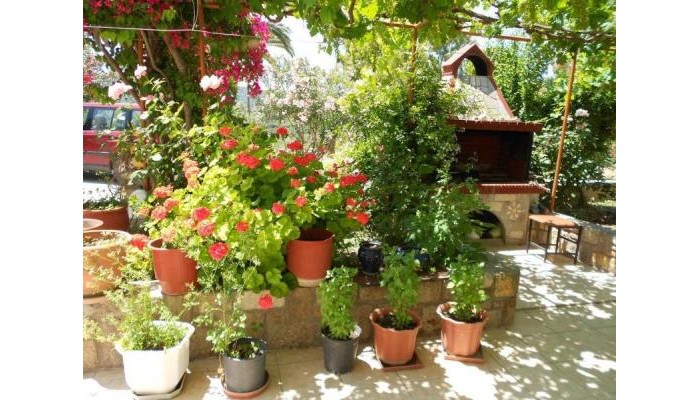 Anthoula Hotel poza 6