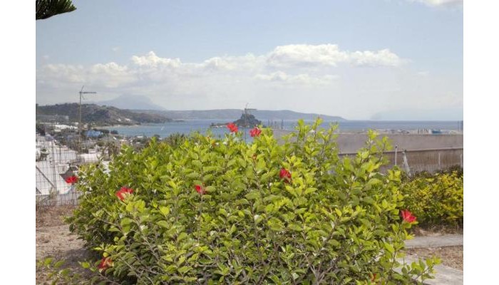 Archodia Studios poza 2