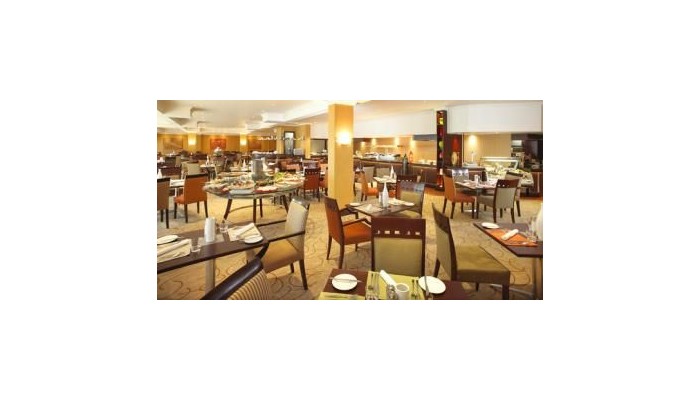 Hotel Southern Sun O.r. Tambo International Airport poza 3