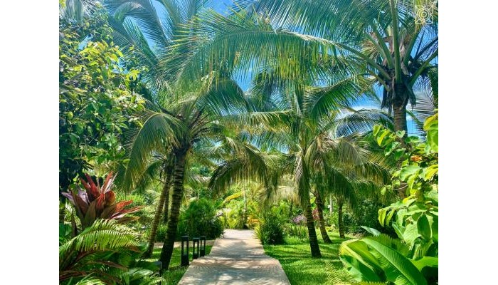 Hotel Zuri Zanzibar poza 42