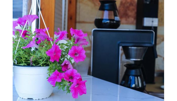 Hotel Mandy Suites poza 11