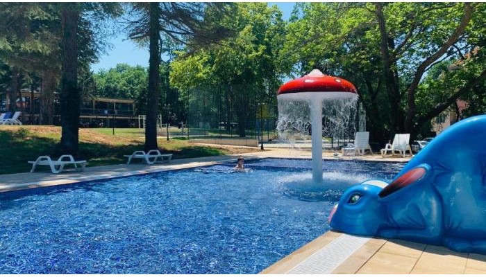 Hotel Queen Nelly Park poza 11