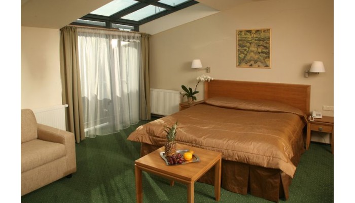 Euterpe Hotel poza 0