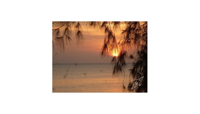 Poza pentru Haad Chao Phao Resort 529-1520773955 Haad Chao Phao Resort poza 0