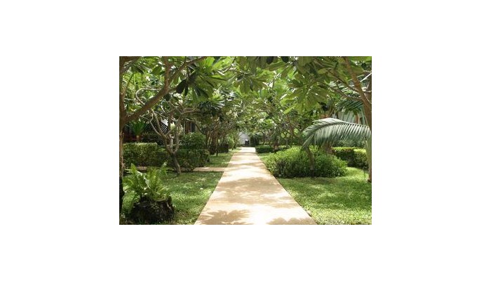 Poza pentru Banana Fan Sea Resort 978-1488286109 Banana Fan Sea Resort poza 3