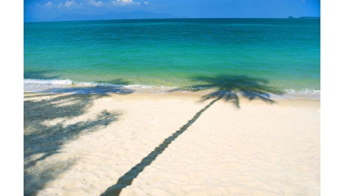 Poza pentru Hotel W Retreat - Koh Samui 452-1488285856 Hotel W Retreat - Koh Samui poza 9