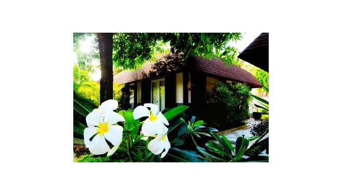 Poza pentru Iyara Beach Hotel And Plaza 49-1488286617 Iyara Beach Hotel And Plaza poza 11