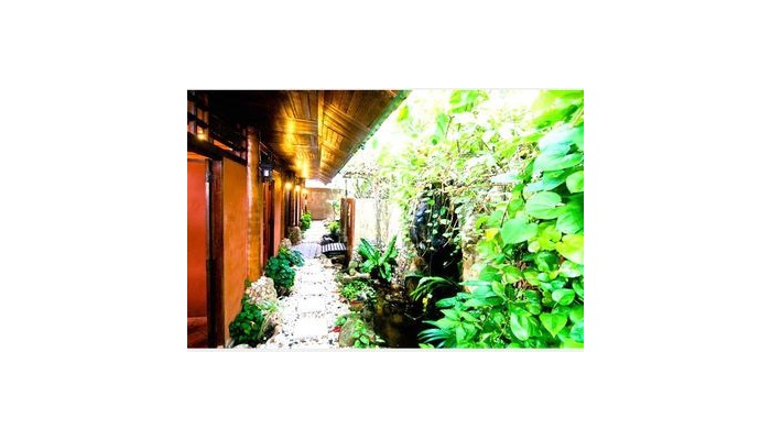 Poza pentru Sand Sea Resort & Spa 656-1488288044 Sand Sea Resort & Spa poza 8