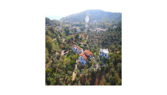 Hotel Katerina poza 12