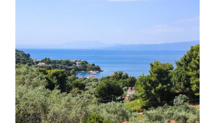 Angelina Studios poza 9