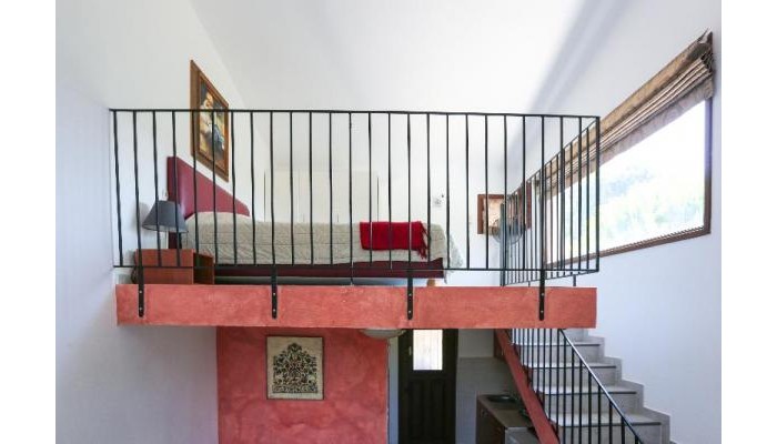 Angelina Studios poza 5