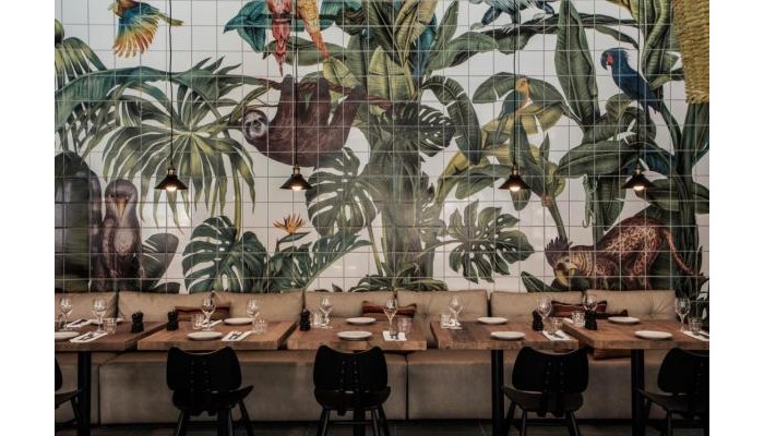 Hotel Casa Cook poza 9