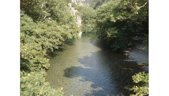 Hotel Spiridoula poza 6