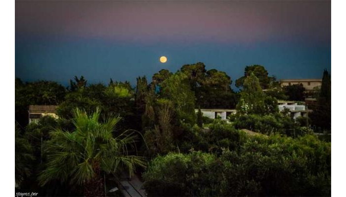 Poza pentru Hotel Alexandros&gerekos 8648-1553114888 Hotel Alexandros&gerekos poza 9