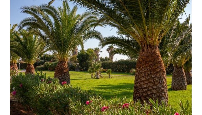 Ammos Resort - All Inclusive poza 5