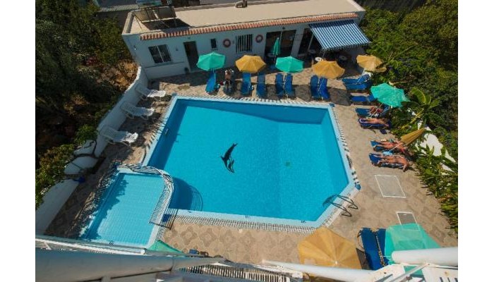 International Hotel poza 6