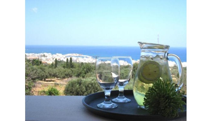 Astra Village Apartments poza 26