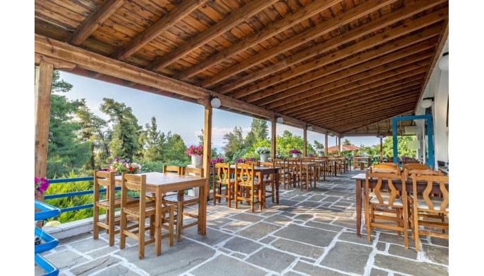 Hotel Theo Bungalows poza 8