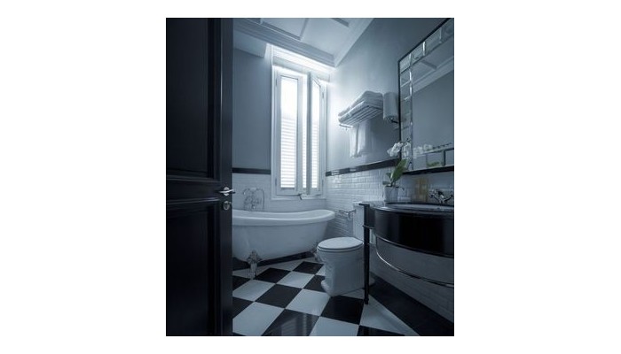 Hotel Majestic poza 10