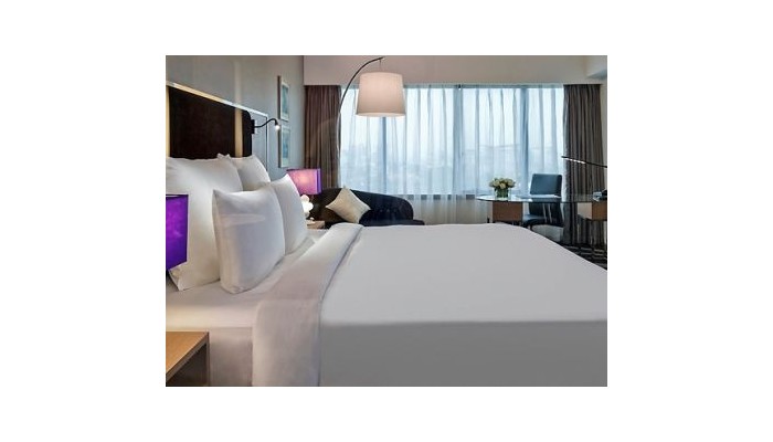 Hotel Pullman Bangsar poza 11