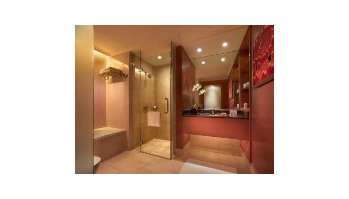 Hotel Pullman poza 6