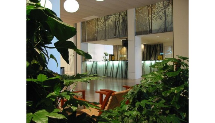 Hotel Cavanna poza 3