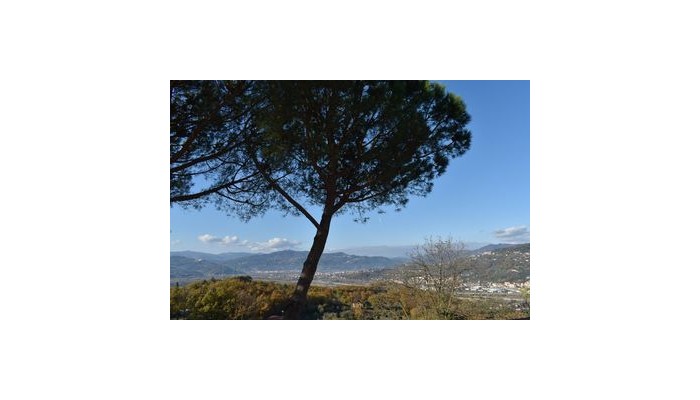 Hotel La Trigola poza 8