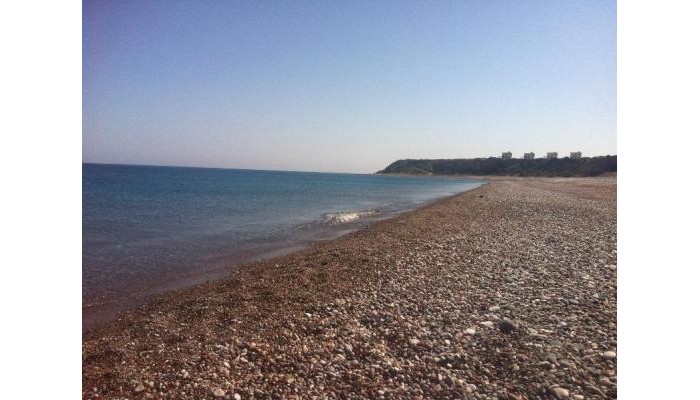 Hotel Blue Asteri Villa poza 0
