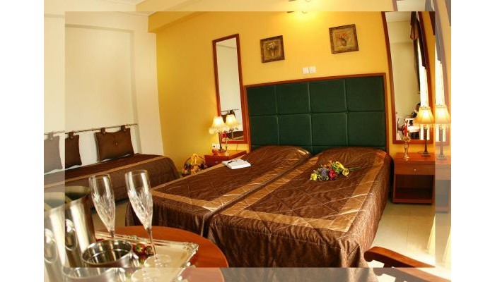 Hotel Ionis Art poza 5