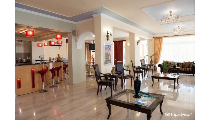 Hotel Ionis Art poza 9