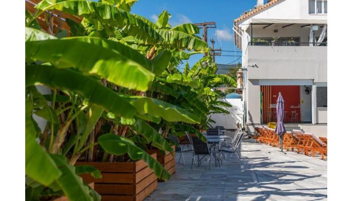 Mojo Hotel Laganas Zante poza 19
