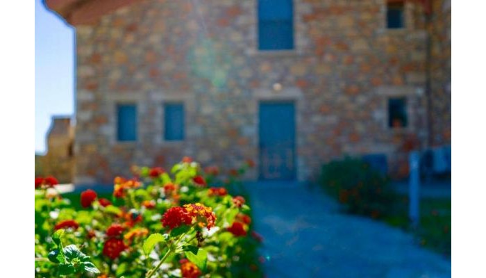 Hotel Estrella Villas poza 3