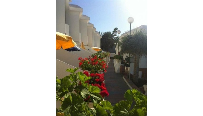 Hotel Apts Niza poza 5