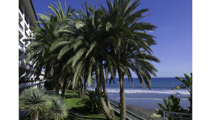 Hotel Dunas Don Gregory poza 4