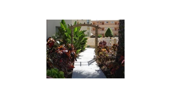 Hotel Los Ficus poza 1